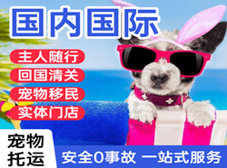 河东航空邮寄国际宠物托运 【国